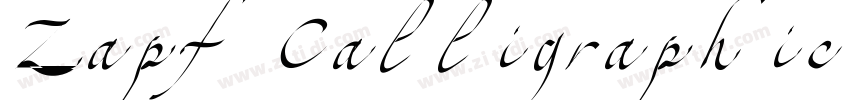 Zapf Calligraphic 80字体转换